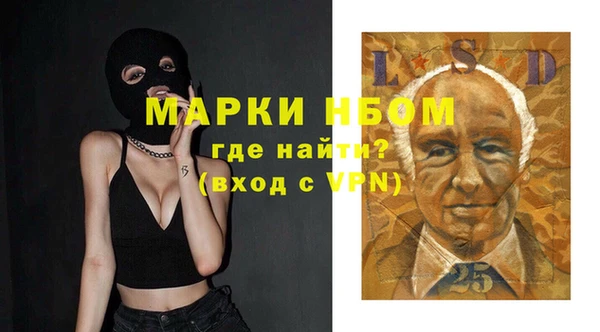 мдпв Каменногорск