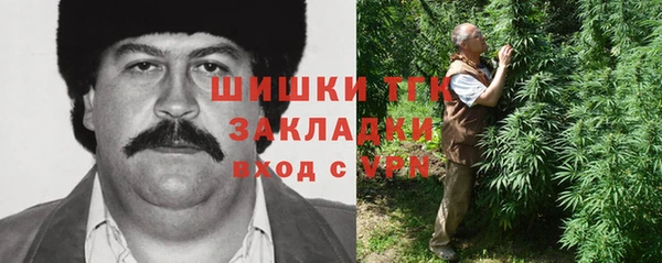 мдпв Каменногорск