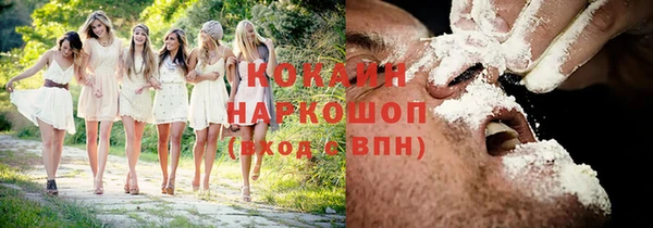 соль курить ск Каменка