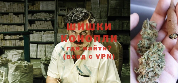 мдпв Каменногорск