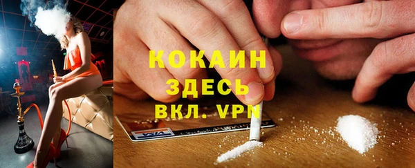 соль курить ск Каменка