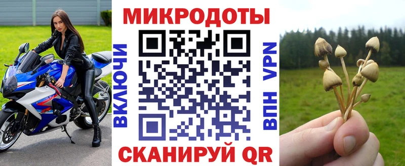 Галлюциногенные грибы Cubensis  Мариинск 